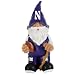 Forever Collectibles NCAA Team Garden Gnomes