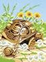 9 Inch x12 Inch Junior Paint By Number Kit - Tortoise