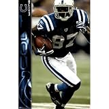 Indianapolis Colts Reggie Wayne NFL Poster Print 22x34
