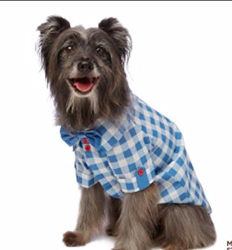 Martha Stewart Pets Blue Gingham Checkered Shirt Bow Tie Red Buttons Size X-Large XL