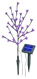 Produkt-Bild: Esotec SOA Solar-Lichtstrauch mit 36 pinkfarbenen Leuchtbl&uuml;ten