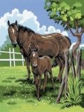 JUNIOR SMALL PAINT BY NUMBER KIT 8-3/4 X 11-3/4-MARE & FOAL