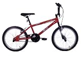 Enlarge toy image: Raleigh 20 Wolf BMX - infant and baby development