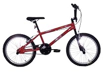 Raleigh 20" Wolf BMX