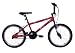Raleigh 20 Wolf BMX