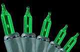 Set of 100 Green Everglow Mini Christmas Lights With Green Wire