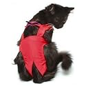 Joybies Red Piddle Pants for X Small Cat (Measuring 11"-13" Along Back from Collar to Base of Tail)