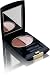 Christian Dior 2 Couleurs 2-Colour Eyeshadow Wet & Dry 845 Diorart