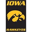 Iowa Hawkeyes NCAA Applique Banner Flag (44"x28")
