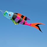 52 Rainbow Sergeant Major Fish Windsock