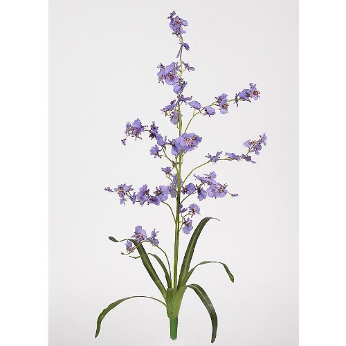 Dancing Lady Silk Orchid Flower (6 Stems)