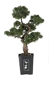 Nearly Natural 4100 Cedar Bonsai Decorative Silk Plant, 36-Inch, Green