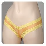 2 Pack Lot Hot & Sexy Mesh w/Lace Lowrise Bikini Panties