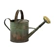 17" Distressed Vintage Style Verdigris Decorative Garden Watering Can