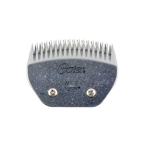 Oster Professional C