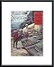 FIELD & STREAM: June 1924, Art Poster by Lynn Bogue Hunt / FIELD & STREAM Magazine, with Metal Frame, poster size: 11 x 17