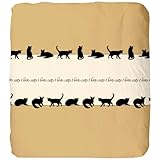 Détails sur le produit