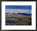 Shore Platform with Autumn Tundra, Qeqertarsuaq (Godhavn), Disko Bay, Island, West Coast, Greenland Places Framed Art Poster Print by Tony Waltham, 22x18