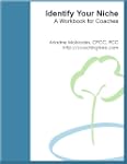 Identify Your Niche: A Workbook for C...