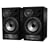 Digital Monitor Speakers