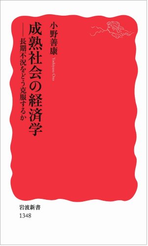 成熟社会の経済学――長期不況をどう克服するか (岩波新書)のJPEG画像