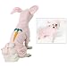 Fluffy Bunny Dog Pet Costume