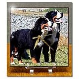 Dogs Bernese Mountain Dog - Bernese Mountain Dog - Desk Clocks