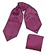 DRC1E01 Multiple Colors Solid Soft Stain Evening Ascot Handkerchief By Dan Smith