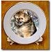 Roxy, Pomeranian Puppy - 8 Inch Porcelain Plate