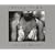 Sally Mann: Still Time
