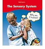 The sensory system : why am I ticklish?