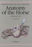 View Book 'Anatomy of the Horse: An Illustrated Text'