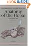 Anatomy of the Horse: An Illustrated Text