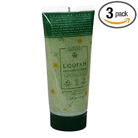 Earth Therapeutics Loofah Exfoliating Scrub, Aloe Vera & Kiwi, 6 fl oz (177 ml) (Pack of 3)