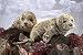 Folkmanis Harbor Seal Hand Puppet