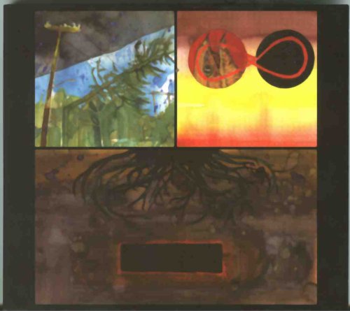 13 Ghosts - The Strangest Colored Lights - Zortam Music