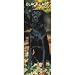 Black Labrador Retrievers 2009 Slim Wall Calendar