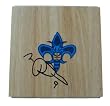 Morris Peterson Autographed New Orleans Hornets Logo Floor, Proof Photo
