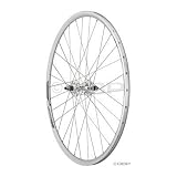Dimension Track Rear Wheel Formula Fix/Free Alex DA22 Silver