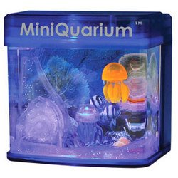 Miniquarium Jellyfish, Usb Or Battery-Powered