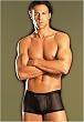 Excite Menswear by Fantasy Lingerie Mens Pin-Stripe Shorts
