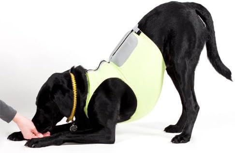 DogTread CanineGym Gear K9FITvest