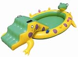 Aligator Slide