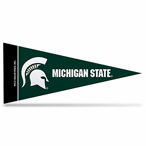 NCAA Iowa Hawkeyes Mini Pennant, 8-pc Single Team Set