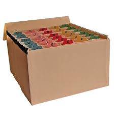 H�ngeregistratur (1 - 31, mit mehrfarbigen Mylar-Reitern) Manila