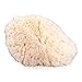 Mehron Makeup Natural Sea Sponge