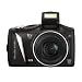 Canon PowerShot SX 130 IS Digitalkamera (12 Megapixel, 12-fach opt. Zoom, 7,5 cm (2,95 Zoll) Display, bildstabilisiert ) schwarz