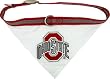 NCAA Dog Collar Bandana, Large, Ohio State University Buckeyes