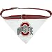 NCAA Dog Collar Bandana, Large, Ohio State University Buckeyes