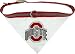 NCAA Dog Collar Bandana, Large, Ohio State University Buckeyes